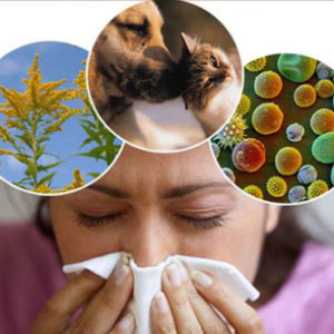 Indoor Air Quality